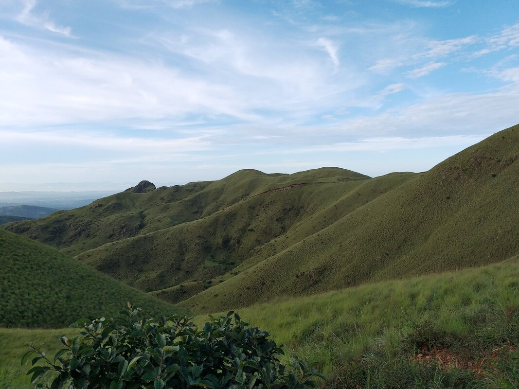 Mountain Ridge Cerro Pelado