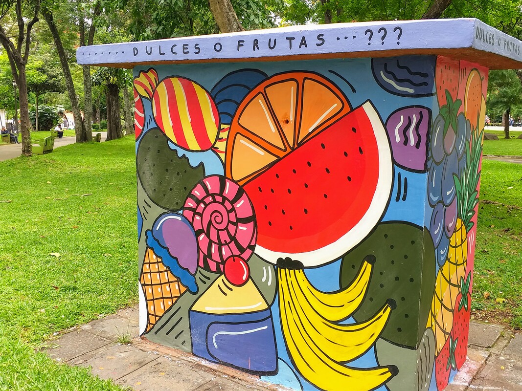 Street mural fruits on art tour in san jose costa rica